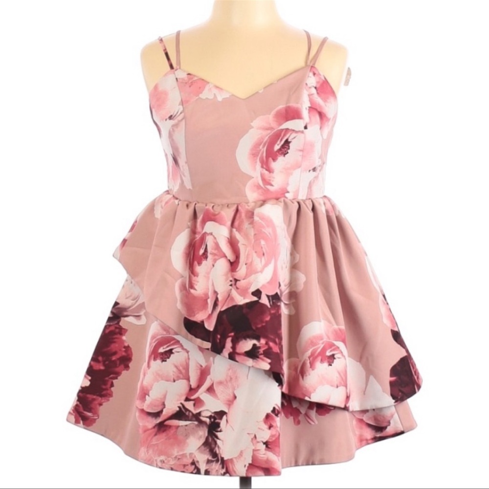 NWT KEEPSAKE the Label cupcake mini dress - Picture 3 of 5